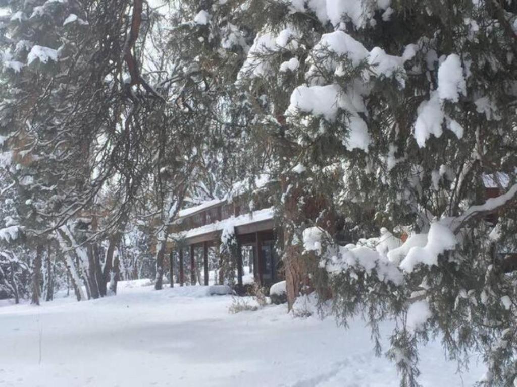 Country Sunshine Bed And Breakfast Hermosa Dış mekan fotoğraf